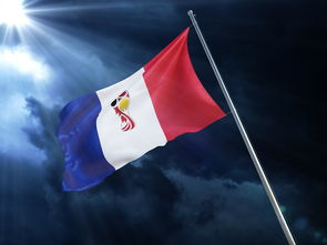 开云-英国乒乓球队横扫比利时乒乓球队，水谷隼打破历史纪录